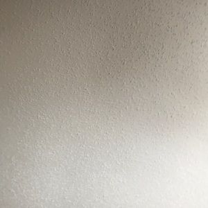 Meet your Posher, Dillon